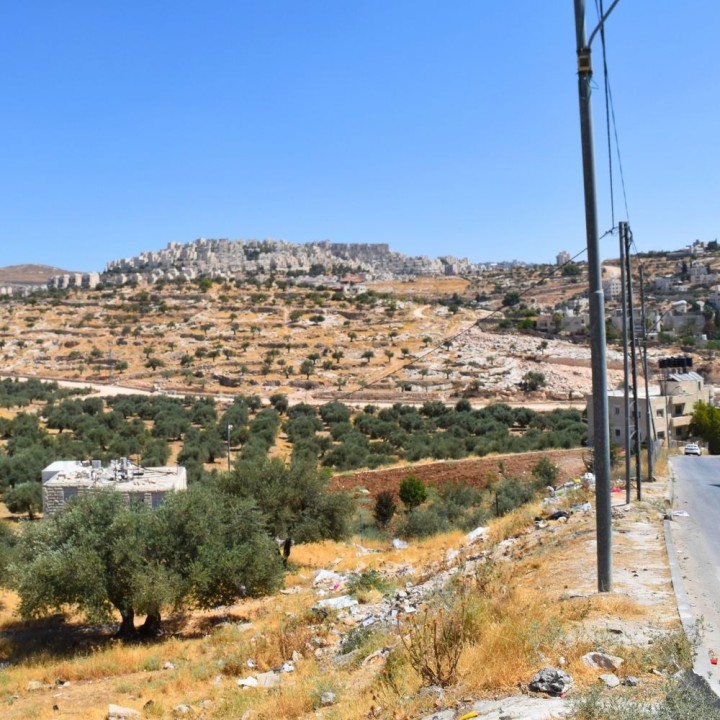 架け箸 オリーブのボールペン【オリーブ】木製 | SIMPLife