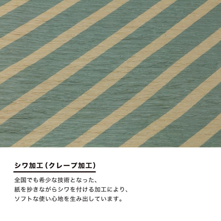 ピクニックラグ CHECK EXPO2025【L】レジャーシート | SIMPLife