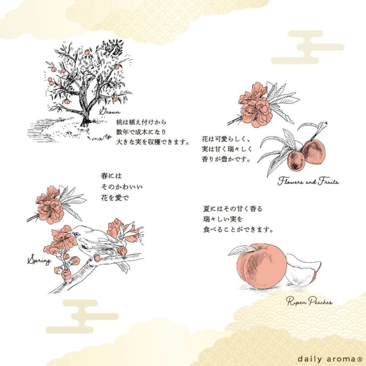 和の香りで消臭 リードディフューザー【桃】| SIMPLife
