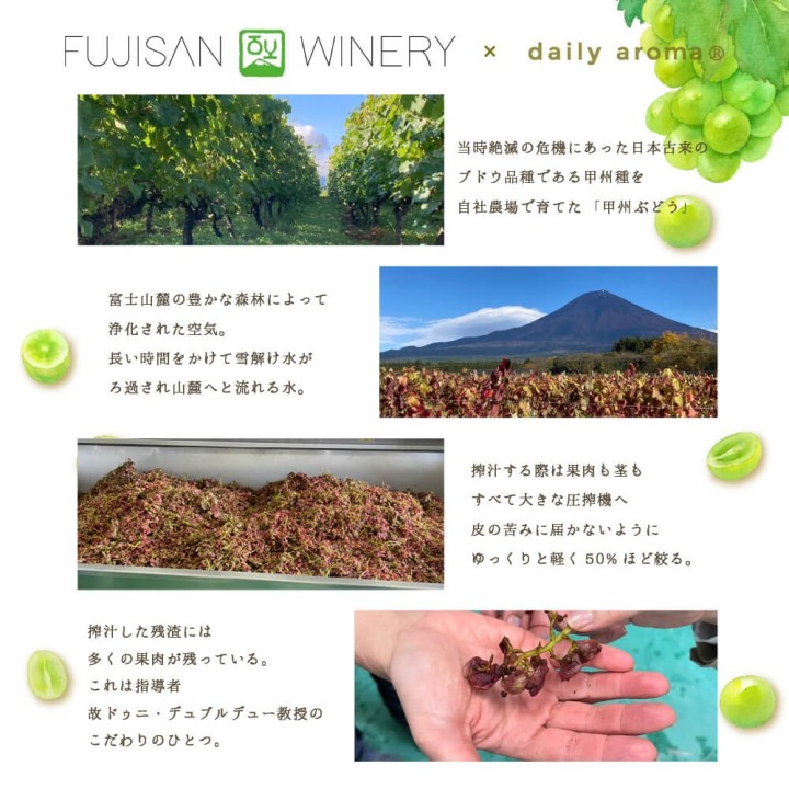富士山ぶどう ハンドクリーム 75g 甲州ブドウエキス配合 | SIMPLife