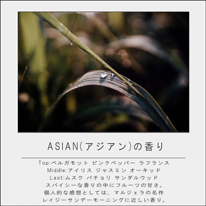 One of Two 水性香水 オーデパルファム 50ml 【ASIAN】| SIMPLife