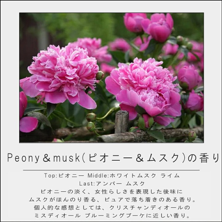 One of Two 水性香水 オーデパルファム 50ml【Peony & musk】| SIMPLife