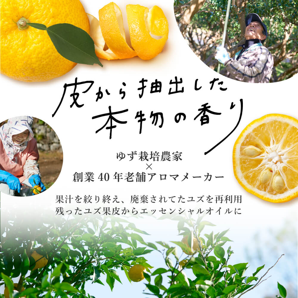 高知県産ゆず